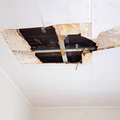 Constater une malfaçon grave à Auch